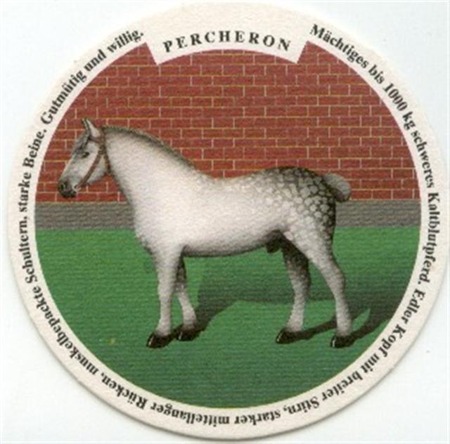 winterthur zh-ch haldengut pferde 5b (rund210-percheron)